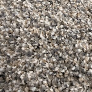 Forest Floor - 12 ft. x 9 ft. 9 in.