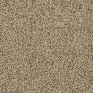 Emerging - 12 ft. x 16 ft. 9 in.