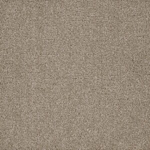 Southern Charm - 12 ft. x 37 ft. 6 in.