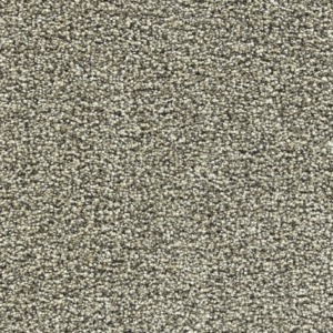 Coffee Mug - 12 ft. x 9 ft. 9 in.