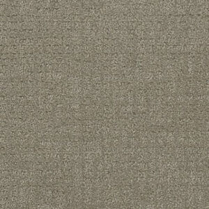 Planetary Alignment- 12 ft. x 23 ft. 6 in.