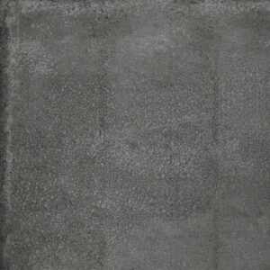 Aricia - 24 in. x 24 in.